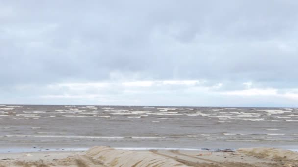 Meereswellen am Sandstrand. Meereslandschaft mit grauem Wasser am bewölkten Himmel. Macht der Natur. Fernweh oder Reisen und Urlaub. Video — Stockvideo