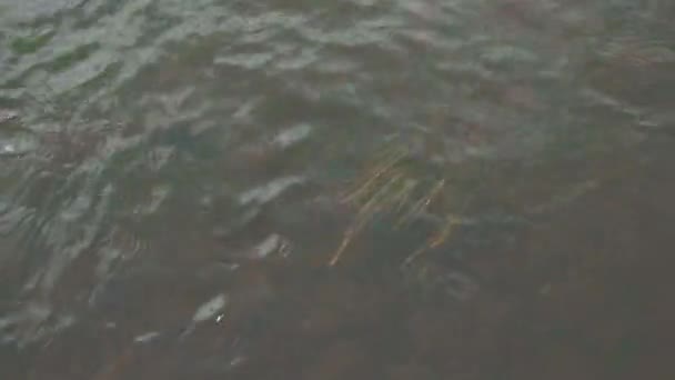 Belle eau de près. Des actions. Eau calme sur le lac un jour d'été 