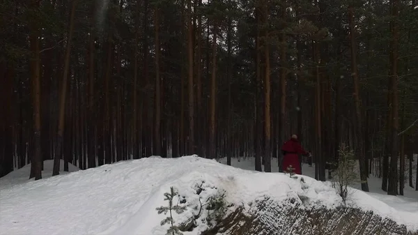 在雪林的连帽人。冬天在森林里沉思僧侣。镜头。在雪林, 有套头的人像寻求启示的僧人一样互相跟随 — 图库照片