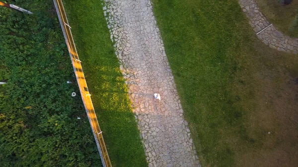 Volo verticale sopra l'uomo in giardino. uomo controlla un drone vicino a un edificio grigio su un prato verde. Estate. Clip — Foto Stock