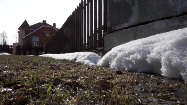 A borda de uma neve deriva em um brejo. Grama selvagem na montanha na neve perto. Filmagem — Vídeo de Stock