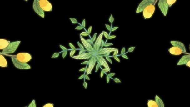 Abstraktní animace rostlin na černém pozadí. Malované květy na černém pozadí — Stock video