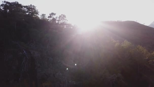 Luft schöne Sommer Wildnis Naturlandschaft. Video. Blick von oben auf die tropischen Berge in der Sonne. Sonnenlicht auf grünem Gras und Bäumen — Stockvideo