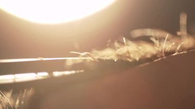 Usta berber erkekte saç keser. Çerçeve. Kuaför saç modeli için genç bir adam yapar. Ağır çekim