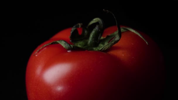 Gotas de agua goteando desde arriba tomates maduros. Una trampa. Primer plano de una gota de agua goteando de un tomate — Vídeos de Stock