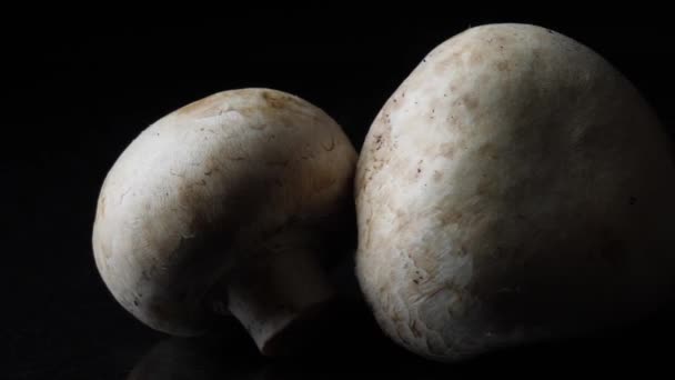 Nahaufnahme von köstlichen weißen Pilzen auf schwarzem Hintergrund. Rahmen. das Konzept der richtigen Ernährung — Stockvideo