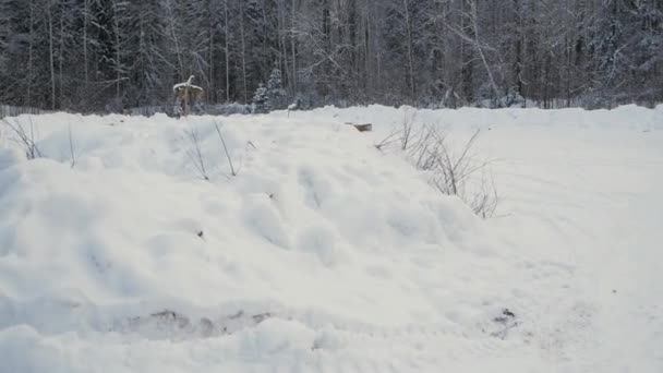 Char ou véhicule blindé de transport de troupes dans la forêt d'hiver. Clip. Tir d'un lance-grenades sur le char dans la forêt d'hiver. L'attaque sur l'APC avec un lance-grenades — Video