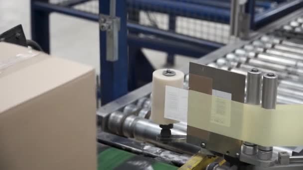 Κατασκευή από χαρτόνι γραμμή propduct μηχάνημα κάνοντας κουτιά. Κλιπ. Συσκευασμένα courier στην γραμμή παραγωγής ενάντια σε κουτιά από χαρτόνι στην αποθήκη. Κουτί από χαρτόνι γραμμή παραγωγής — Αρχείο Βίντεο