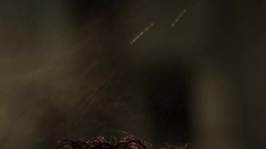 Kuaför Close-up istemcileri saç ağır çekimde su sıçramalarına. Çerçeve. Su püskürtme ve ıslak saç tarama Kuaför. Salonda erkek saç modeli. Adam saç şekillendirme. Kuaför saç kesimi yakın çekim. Kuaför