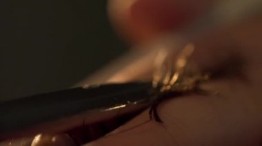Kesim saç ve Saç dokusu kapatın ayrıntılı makro Kuaför Salonu. Çerçeve. Profesyonel stilist kesme istemci elinde saç vurdu. Güzellik uzmanları el makasla kapatın. Seçici odak