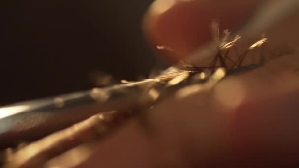 Primo piano di mens taglio di capelli forbici in un salone di bellezza. Cornice. Chiuda di un taglio di capelli a un salone di capelli. Parrucchiere professionale acconciatura del suo cliente — Video Stock