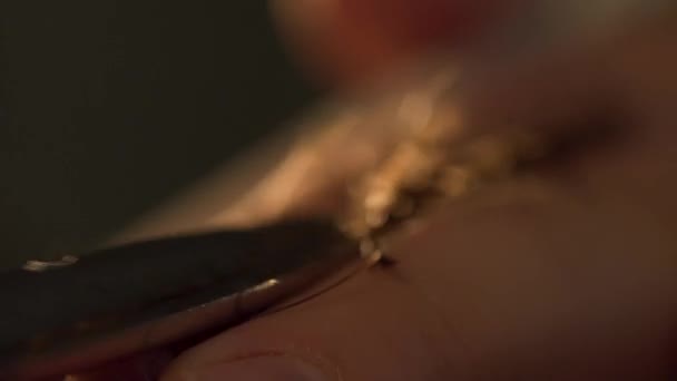 Dettaglio macro parrucchiere primo piano di taglio capelli e consistenza dei capelli. Cornice. Mani di stilista professionista taglio cliente ha sparato capelli. Primo piano di estetiste mano con le forbici. Focus selettivo — Video Stock