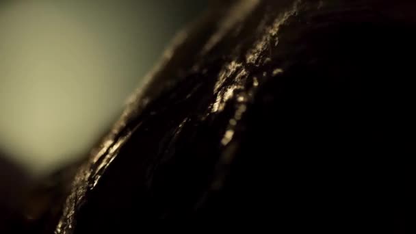 Ferme là. Se laver la tête dans un salon de coiffure. Cadre. Coiffeur au travail - coiffeur laver les cheveux au client avant de faire la coiffure. Salon de coiffure. Femme pendant le lavage des cheveux 