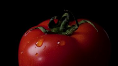 Kırmızı ripe domates su damlaları siyah izole kapalı. Çerçeve. Siyah parlak zemin yansıma ve su ile izole domates bırakır. siyah arka plan üzerine taze domates