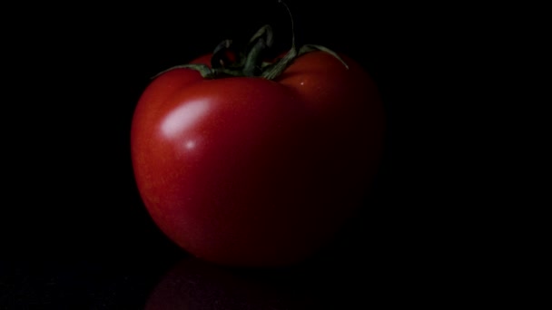 赤熟したトマトには、黒に分離した水滴が覆われています。フレーム。現実的な反射と水で光沢のある黒地に分離されたトマトを削除します。黒い背景とフレッシュ トマト — ストック動画