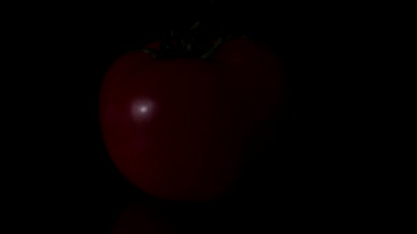 Gotas de agua cubiertas de tomate rojo maduro aisladas en negro. Una trampa. Tomate aislado sobre un fondo negro brillante con reflejo realista y gotas de agua. tomates frescos sobre fondo negro — Vídeos de Stock