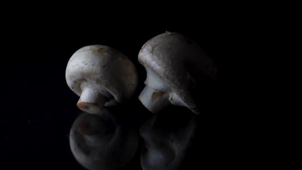 Champinhons em um fundo preto. Moldura. Dois cogumelos isolados no fundo reflexivo preto . — Vídeo de Stock