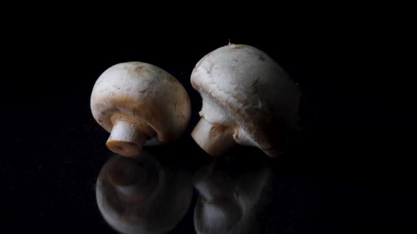 Champinjoner på svart bakgrund. Ram. Två svampar isolerad på svart reflekterande bakgrund. — Stockvideo