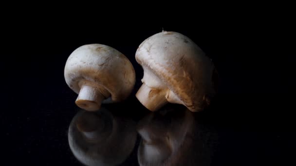 Champignons op zwarte achtergrond. Frame. Geheel paddestoelen draaien op zwarte spiegel achtergrond. Close up van heerlijke witte champignons op zwarte achtergrond. — Stockvideo