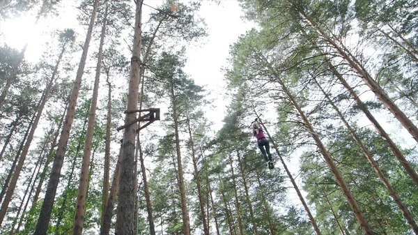 Sporty ekstremalne w lesie na drzewach. Magazynie. Linowy park linowy - kobieta na kurs w kasku — Zdjęcie stockowe