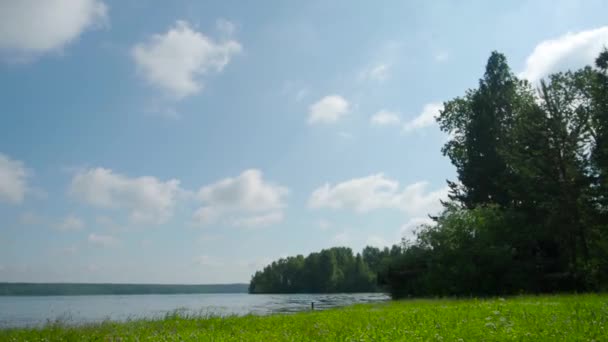 Clean tranquil lake in green summer forest. Stock. Beautiful lake in the forest on a Sunny day — Stock Video