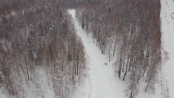 Vue aérienne de pins enneigés et d'un petit ruisseau sinueux. Clip. Vue aérienne de la forêt hivernale couverte de neige. forêt gelée d'hiver. Vue aérienne paysage enneigé . — Photo