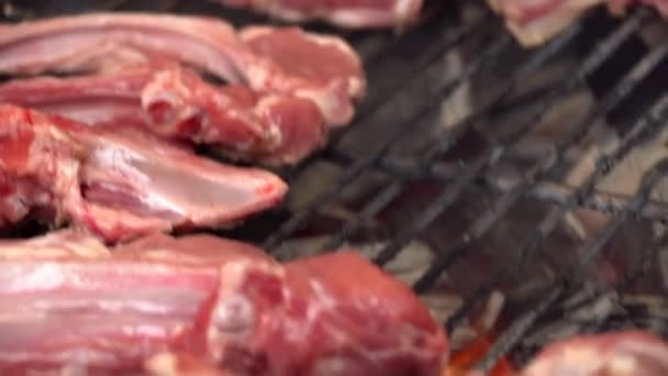 Cocinar carne barbacoa en la parrilla caliente en tiempo de camping, de alta definición. Barbacoa en el primer plano de la parrilla — Vídeo de stock