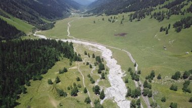 Güneşli bir günde üstten görünüm bir nehrin dağlarda. Üstten görünüm vahşi nehir gün açık yaz yeşil dağların arasında akan