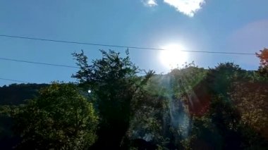 Kız tribünde bir orman. ağır çekim güzel bir genç kızın üzerinde güneşin görünüyor. Arkadan görünüm. Bir kamerada güzel bir gün. Bir buket çiçek ve ellerini kaldırdı ile duran genç kadın. Orman ve