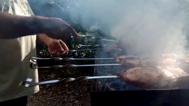 Фрагмент приготування барбекю в природі з руками кухаря крупним планом. Крупним планом руки тримають смачні ароматні шматочки смаженої свинини, посаджені на шампурах на барбекю з гарячим вугіллям. Барбекю на — стокове відео