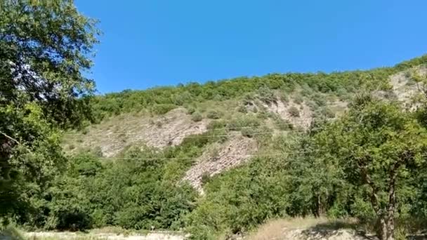 Le Grand Caucase est la principale crête montagneuse du Caucase. Paysage montagneux en wally vert avec rivière de cristal, dans les montagnes du Caucase. Du Caucase. L'été en montagne. Fédération de Russie .