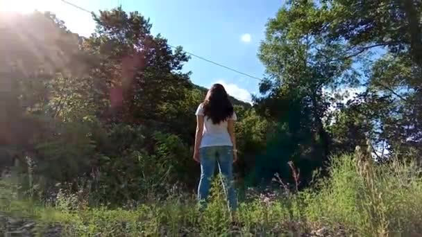 Rückansicht eines Teenie-Mädchens auf dem Sommerfeld mit Sonnenreflexion. junge Frau mit einem Blumenstrauß und erhobenen Händen. Wald und Berge im Hintergrund. zurück — Stockvideo