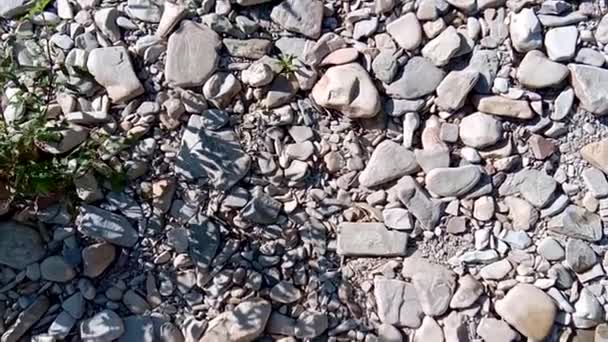 Piedras de guijarro, fondo, movimiento de deslizamiento. Fondo de las piedras. Rocas y piedras para fines de fondo . — Vídeo de stock