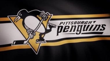 ABD - New York, 12 Ağustos 2018: Pittsburgh Penguins Nhl hokey takımı logolu bayrak sallıyor. Pittsburgh Penguins Nhl hokey takımı logosu, sorunsuz döngü ile bayrak sallayarak yakın çekim. Editoryal görüntüleri
