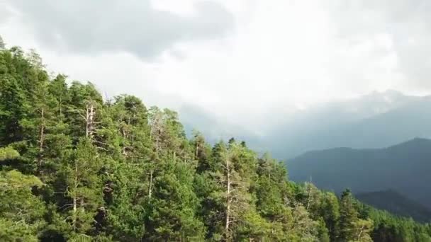Panorama view from above on green mountains covered with forest top view. Top view of the mountainous landscape — Stock Video