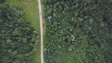 Orman ve kaya oluşumları geçiş yolu. Küçük. Güneşli bir günde forest yakınındaki yolun üstten görünüm