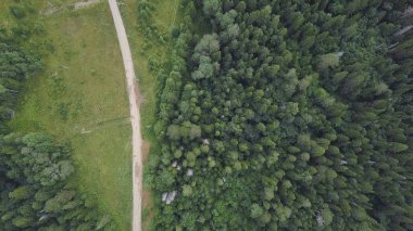 Orman ve kaya oluşumları geçiş yolu. Küçük. Güneşli bir günde forest yakınındaki yolun üstten görünüm
