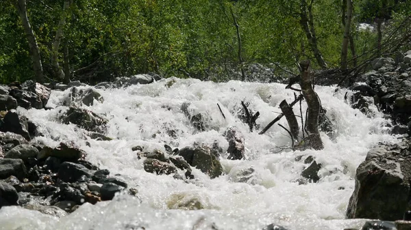 Κρύο βουνό ποταμού με ορμητικό ρεύμα. Θέα από το ορμητικό ποτάμι στο δάσος — Φωτογραφία Αρχείου