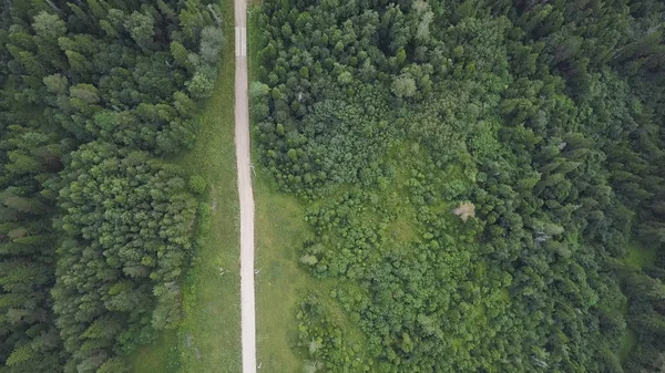 Estrada que cruza a floresta e formações rochosas. Clipe. Vista superior da estrada perto da floresta em um dia ensolarado — Fotografia de Stock