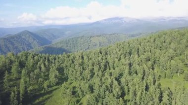 Güneşli bir gün dağlar pitoresk görünümünde Vadisi'nin güzel manzara. Küçük. Güneşli bir günde dağ ormanlarının üstten görünüm