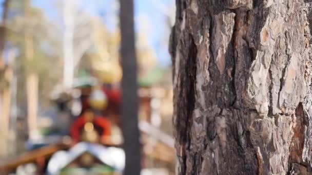 Wunderschöne Landschaft mit Kirche in einem Winterwald umgeben von gefrorenen und bedeckten Schneebäumen an einem frostigen sonnigen Tag in Russland. Tempel im Wald im Winter an einem sonnigen Tag — Stockvideo