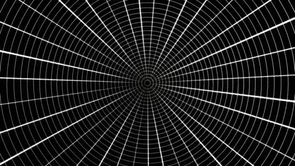 Nastro girevole argento con sfocature chiare. Spiders Web Animation loop. Griglia rete ragno ragnatela tunnel disegno astratto moto poligonale . — Video Stock