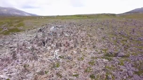 Fliegen über den schönen Gebirgsfluss und schönen Wald. Clip. Luftaufnahme. Landschaftspanorama. altai, sibirien. Luftaufnahme. Flug über grüne grasbewachsene felsige Hügel. Altaigebirge — Stockvideo