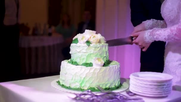 Las novias cortan pastel de bodas. Una novia y un novio están cortando su pastel de bodas. Manos de novia y novio cortadas de una rebanada de un pastel de boda — Vídeo de stock