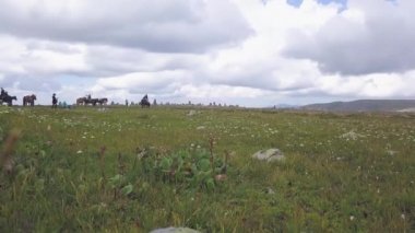Eğleniyor dağlarda at binici grubudur. Küçük. Bir grup insan doğası üzerine sırtında