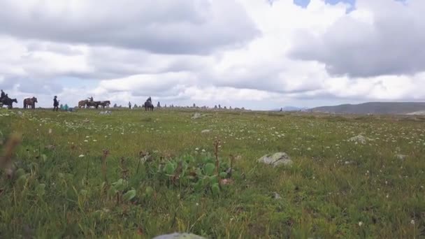 Grupp av ryttare som har kul i bergen. Klipp. Grupp människor på hästryggen på naturen — Stockvideo