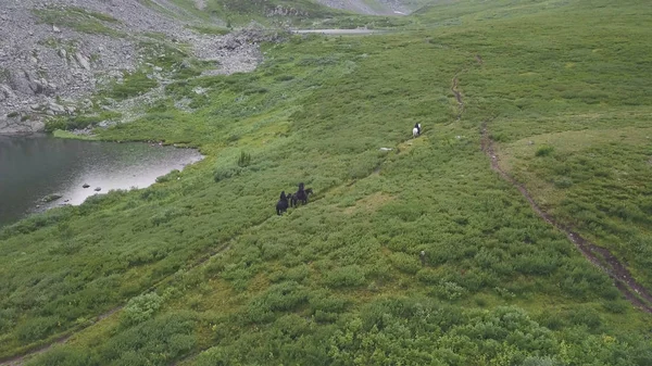 Top view of horse chase. Clip. Chase scene on horseback in nature
