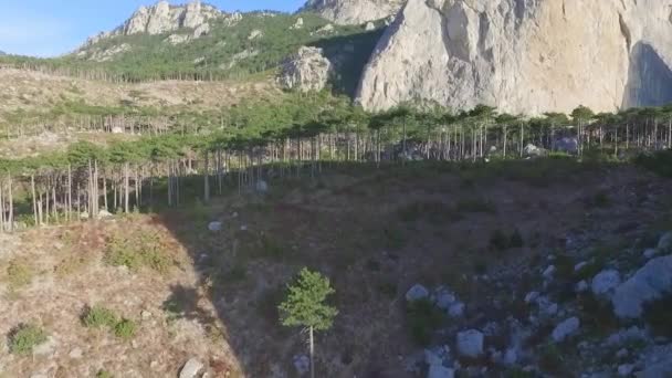 Όμορφο καλοκαιρινό τοπίο στα βουνά. Βολή. Πανοραμική σκηνή σε απόκρημνα βράχια και καταπράσινους λόφους — Αρχείο Βίντεο