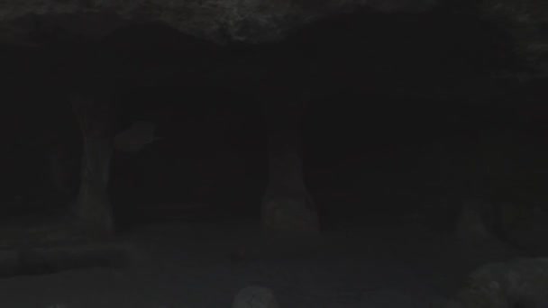 Visa från mountain cave på skogslandskapet. Skott. Utsikt från berget grottor i sommar — Stockvideo