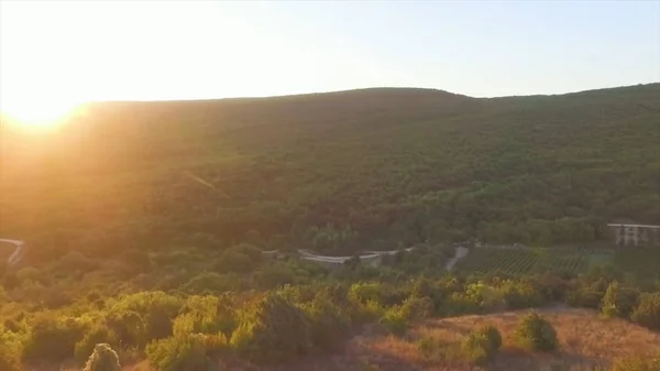 Красивый природный пейзаж. Выстрел. Летающий вертолет над горами, покрытыми густыми лесами в солнечный день — стоковое фото
